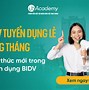 Bidv Tuyển Dụng 2022 Đợt 3