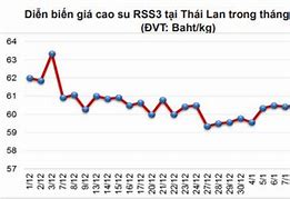 Giá Mủ Cao Su Tháng 5 Năm 2024