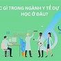 Ngành Y Học Dự Phòng Ra Trường Làm Gì